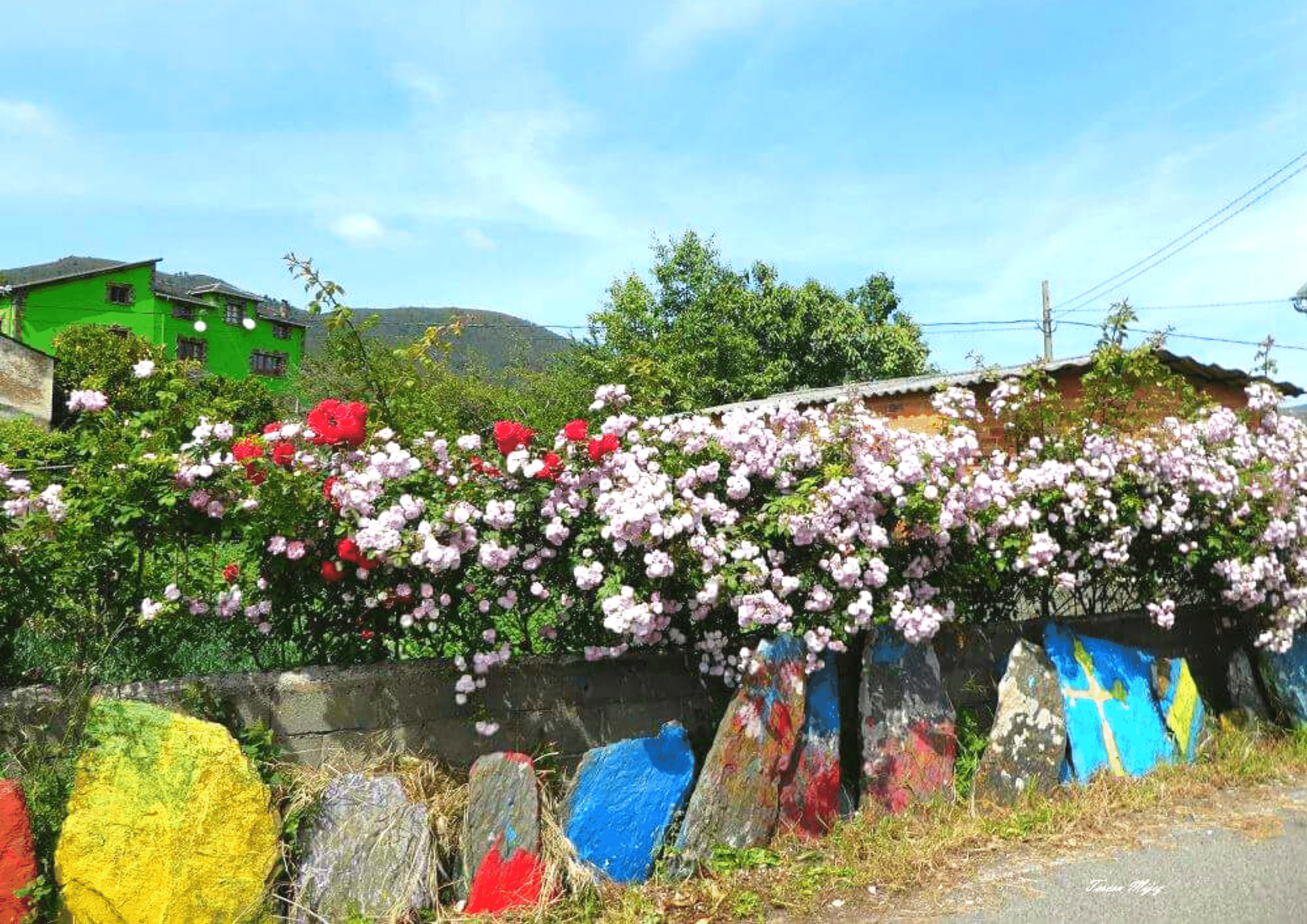 Casa Manolón - Rural tourism accommodation in western Asturias