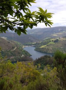 The heart of the Navia Historical Park